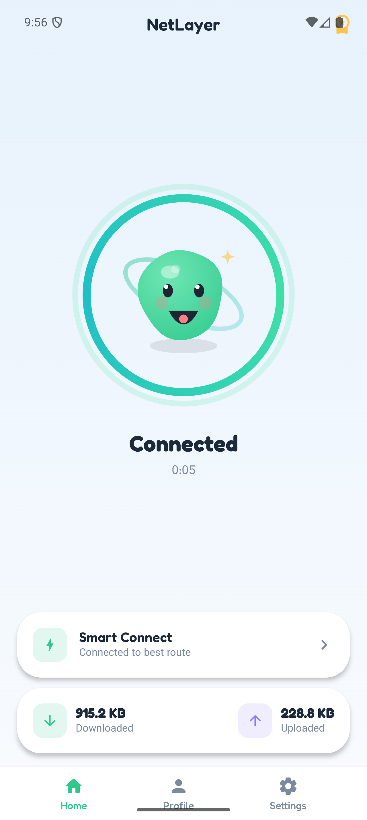 NetLayer app connected screen